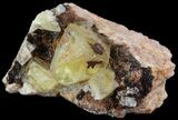 Lustrous, Yellow Cubic Fluorite Crystals - Morocco #44877-2